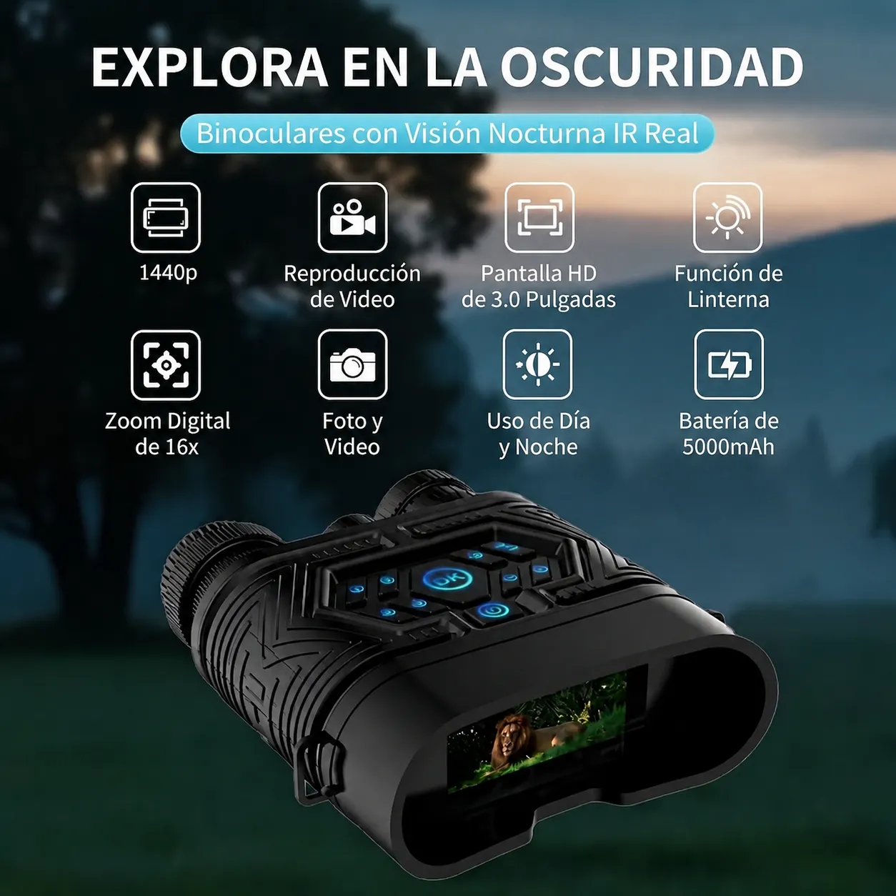 Vista 5