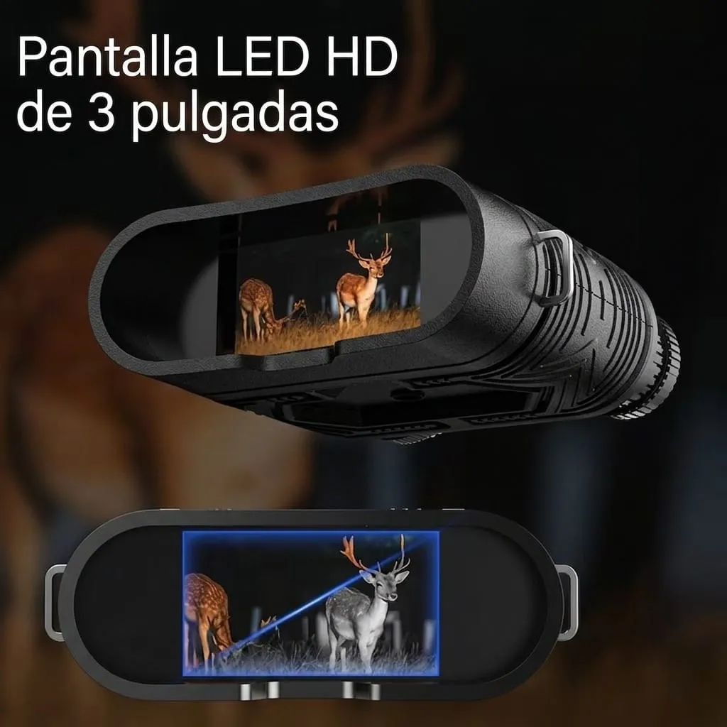 Vista 6